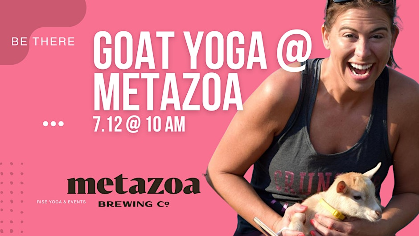 Goat Yoga at Metazoa