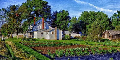 Homestead to Side Hustle