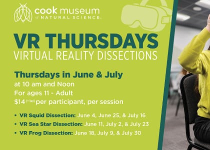 VR Thursdays (Virtual Reality Dissections)