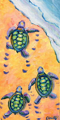 Baby Sea Turtle Return