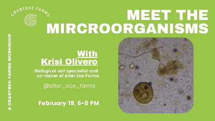 Meet the Microorganisms