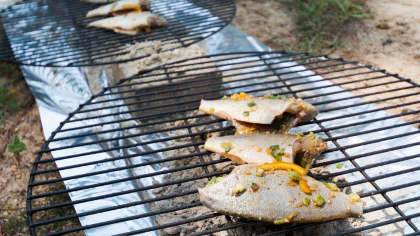 Catch to Kitchen: The Angler's Culinary Workshop