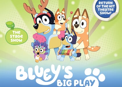 Bluey's Big Play
