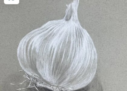 Developing Your Drawing Eye