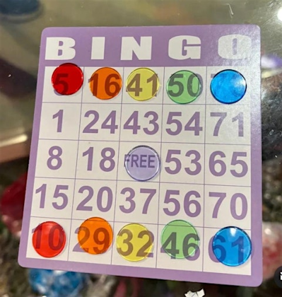 Houseplant Bingo