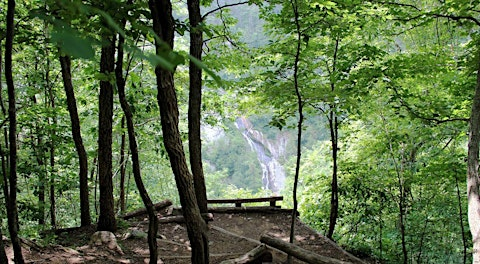 Trail Workday at Bottom Creek Gorge Preserve