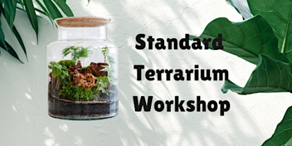 Standard Terrarium Workshop