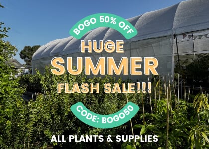 Summer Solstice Plant Sale!