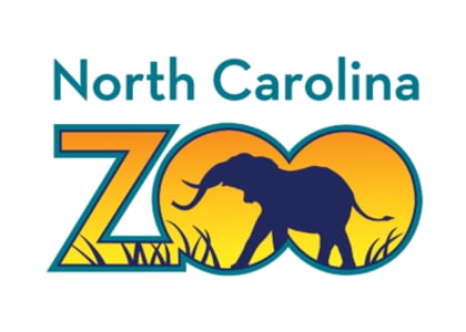 Unearth a Story with the NC Zoo at Benjamin Branch