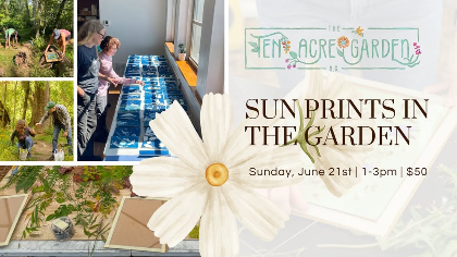 Sun Prints in the Garden--Father's Day