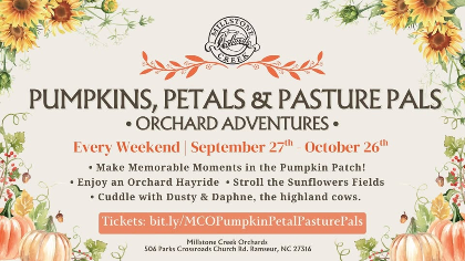 Pumpkins, Petals & Pasture Pals Adventures