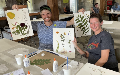 Herbarium Sheets: Science and Art