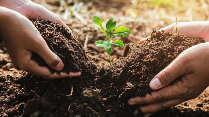Digging Into Soil