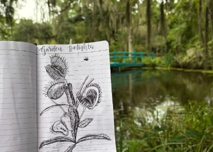 Nature Journaling Workshop
