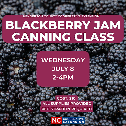 Food Preservation: Blackberry Jam Canning Class