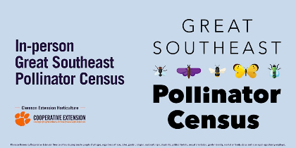 In-person Great Southeast Pollinator Census