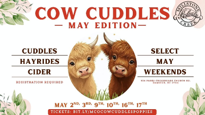 Cow Cuddles @ MCO: May Edition