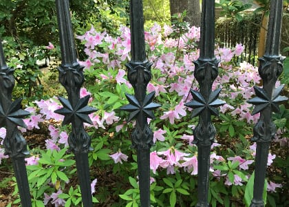 Learn more about local gardening