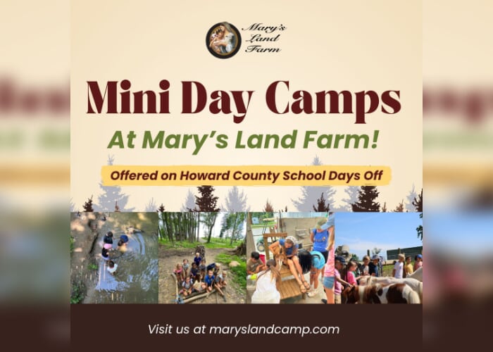 Mini Camps at Mary's Land Farm