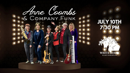 Anne Combs & Company Funk