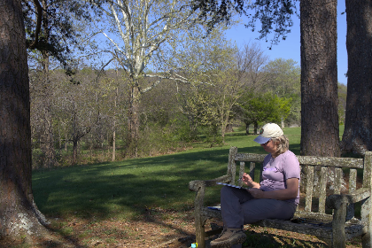 Nature(+)6: Beginning Observational Drawing