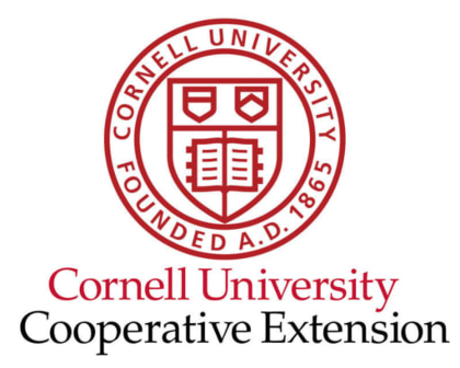 Small Space Gardening with Cornell Cooperative Extension