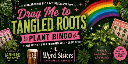 Plant Queens and BINGO Dreams with Ivy Insecta