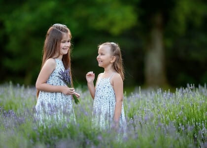 Lavender Season at Lookout Lavender Farm