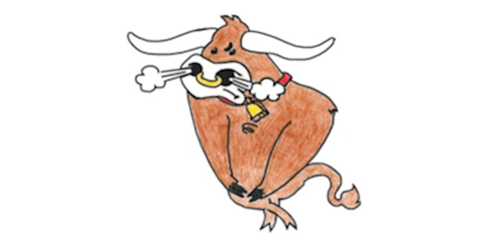 Testicle Festival