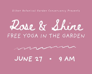 Rose & Shine: Free Yoga in the Garden