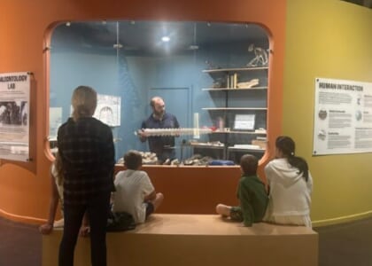 Fossil Friday with Curator of Natural History Matthew Gibson