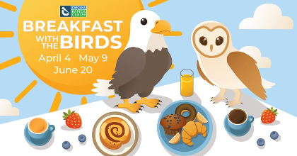 Breakfast with the Birds