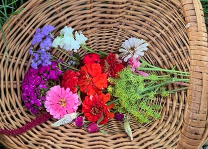 In Full Bloom: "The Summer Cutting Garden" flower workshop