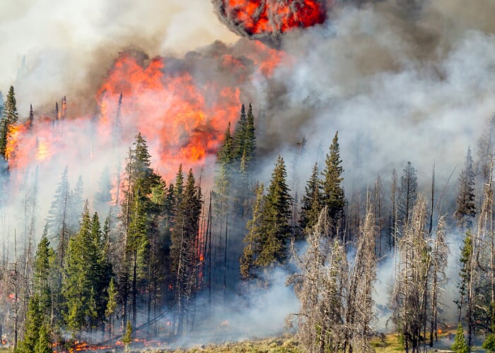 Sustainable Speaker Series: Wildfire & Insurability