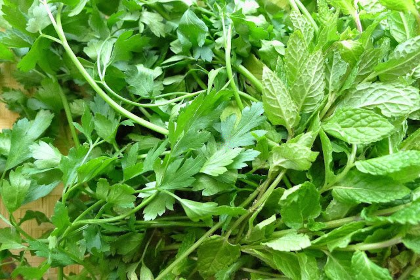 Cooling Herbs and Vegetables for Summer with Master Gardener Mary Wheatley