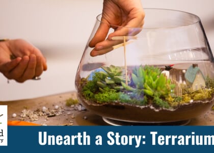 Unearth a Story: Create Your Own Terrarium