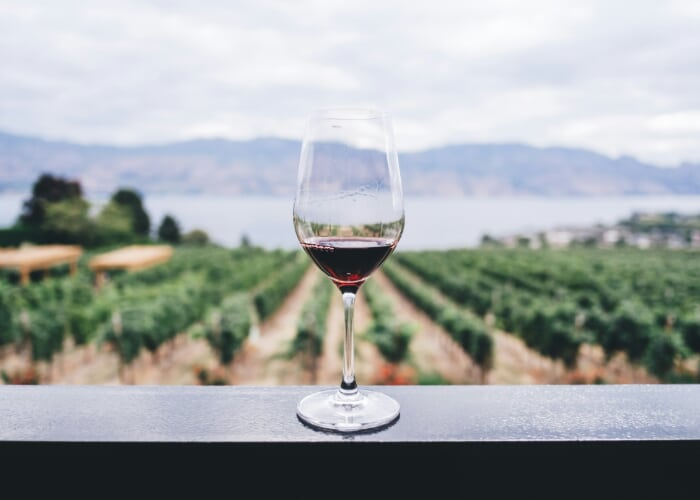 Guided Wine Tasting: Beat the Heat