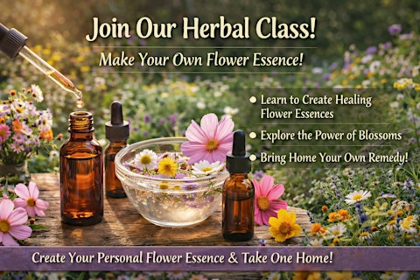 Herbal Class ~ Learn How to Make Flower Essences and Take One Home!