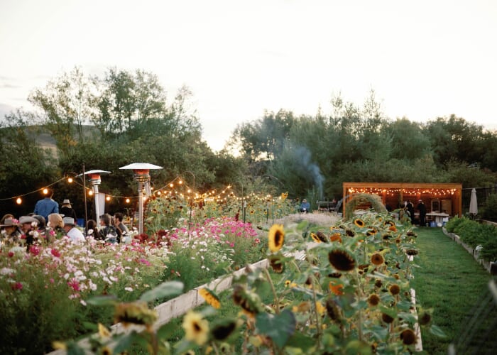 Gracie's Farm Dinner Series | Garlic