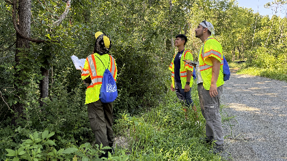 Tree ID & Canopy Assessment