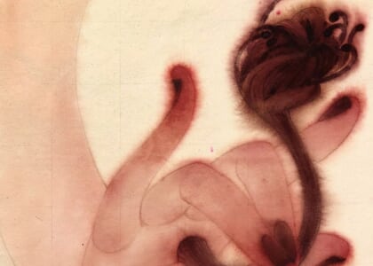 Ackland Tour: A Closer Look at "Ancestral Frequencies"