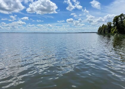 Hike at Circle B Bar Reserve