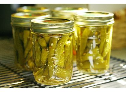 Boiling Water Bath Basics: Let's Can Dilly Beans!
