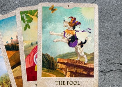 The Fool and the Inner Child: Tarot Reflections
