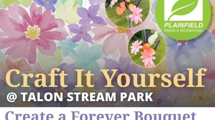 Plainfield Parks & Recreation Craft It Yourself