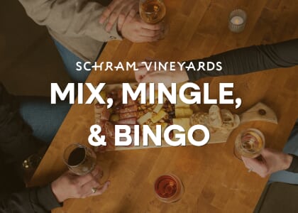 Mix, Mingle, & Bingo (35+ Singles Bingo)