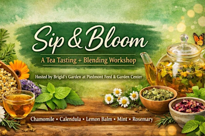 Sip & Bloom: A Tea Tasting + Blending Workshop at Piedmont Feed & Garden