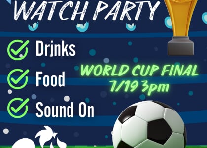 World Cup Final Viewing Party