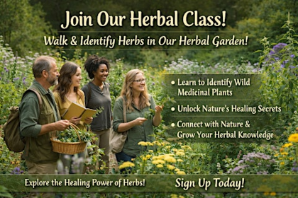 Herb Class ~ Come Explore Herb Gardens, Walk Nibble and Learn!