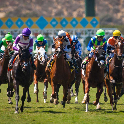 Del mar racing